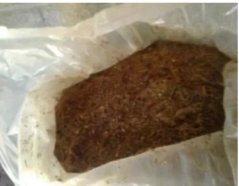 Gambar 1. Pakan Fermentasi 