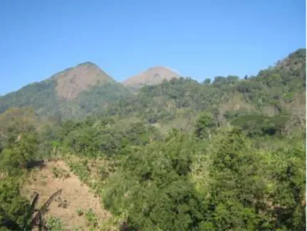 Figure 2. Illegal logging cause erotion at Trawas Hill