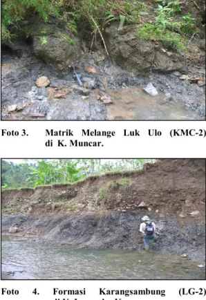 Foto 3.   Matrik  Melange  Luk  Ulo  (KMC-2)   di  K. Muncar. 