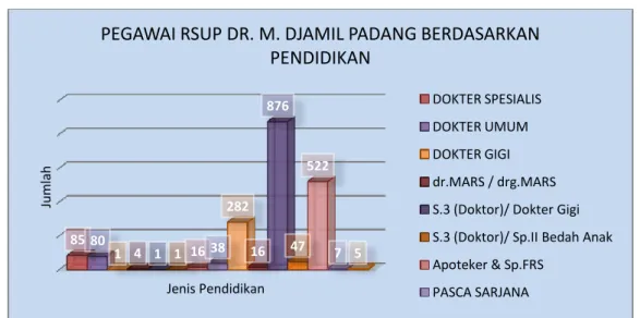 Gambar 1. Pegawai RSUP DR. M. Djamil Padang Berdasarkan Pendidikan 