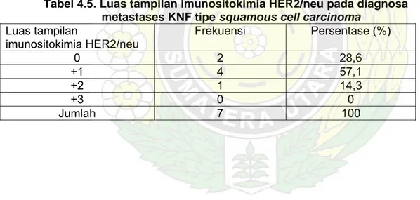 Tabel 4.4. Luas tampilan imunositokimia HER2/neu pada diagnosa                      metastases KNF tipe undifferentiated carcinoma   