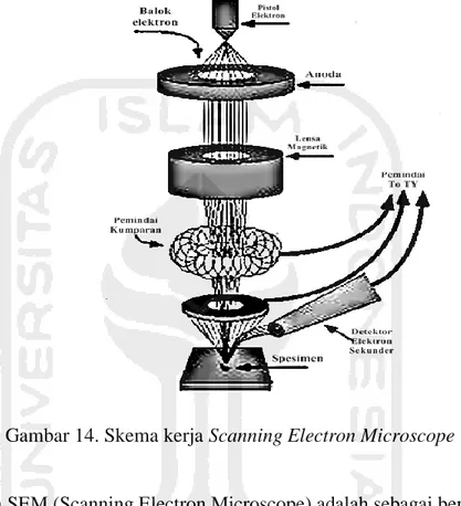 Gambar 14. Skema kerja Scanning Electron Microscope 