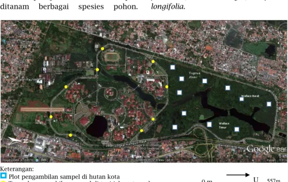 Gambar I.1.  Peta sebaran plot dan transek pengambilan sampel lumut di Universitas Indonesia