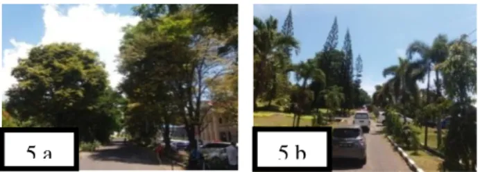 Gambar 4a dan 4b RTH  Hutan Kota Gunung Tumpa, 4c  RTH RS. Prof. Kandou dan 4d RTH Kampus  Universitas Sam  Ratulangi  