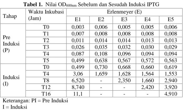 Tabel 1. Nilai OD 600nm Sebelum dan Sesudah Induksi IPTG