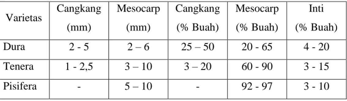 Tabel  2.1.  Perbedaan  Beberapa  Varietas  Berdasarkan  Cangkang  Dan  Mesokarp  Varietas  Cangkang  (mm)  Mesocarp (mm)  Cangkang (% Buah)  Mesocarp (% Buah)  Inti      (% Buah)  Dura  2 - 5  2 – 6  25 – 50  20 - 65  4 - 20  Tenera  1 - 2,5  3 – 10  3 – 
