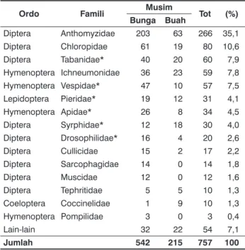 Tabel 1.  Kelimpahan Serangga pada Tumbuhan Penutup  Tanah