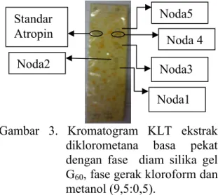 Gambar  3.  Kromatogram  KLT  ekstrak  diklorometana  basa  pekat  dengan  fase    diam  silika  gel  G 60 , fase gerak kloroform dan  metanol (9,5:0,5)