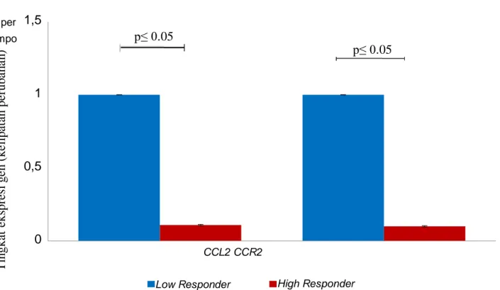 Gambar 2. Ekspresi gen CCL2 dan CCR2 yang diuji dengan teknik RealTime PCR. Ekspresi gen CCL2 dan reseptornya teridentifikasi pada  monyet ekor panjang hewan model asma dan menunjukkan bahwa terdapat ekspresi gen yang l ebih rendah pada kelompok high respo