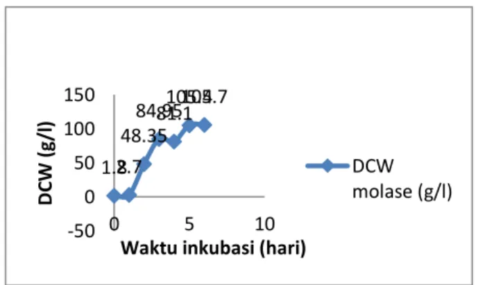 Gambar 1. Nilai DCW Acinetobacter sp. P2(1) pada Substrat Molase 
