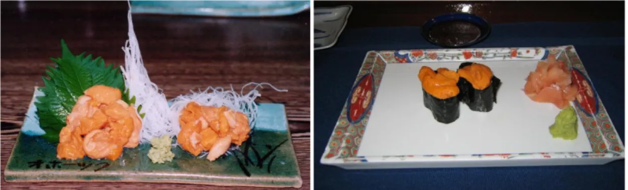 Gambar 18. Gonad bulu babi diolah menjadi “uni” pada hidangan sashimi dan sushi. 