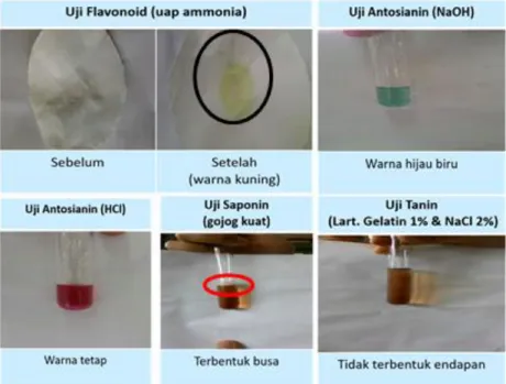 Gambar 1: Hasil uji pendahuluan (kualitatif)  Uji kromatografi lapis tipis 