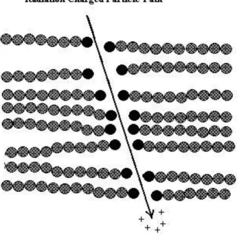 Figure 2:29 The schematic illustration of effect caused by the passage of charged  particle 