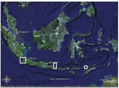 Gambar 5   Lokasi pengambilan sampel di perairan Banten, Bali dan NTT (ditandai dengan kotak berwarna putih) berdasarkan perangkat lunak Google Earth™