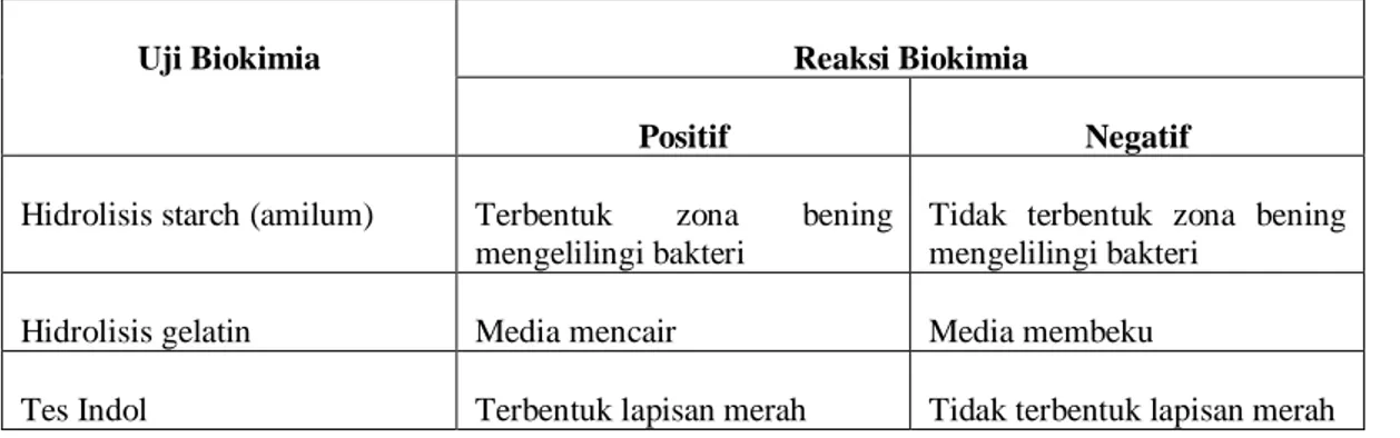 Tabel 3.1 Ciri-Ciri Reaksi Biokimia Positif Atau Negatif 