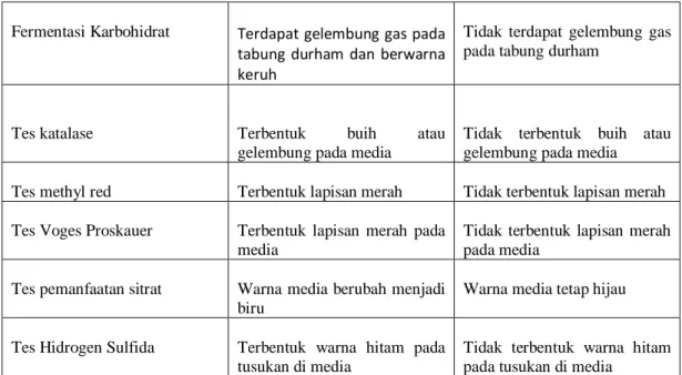 Tabel 3.2 Pengamatan identifikasi  Isolat   Bakteri  Karakterisitk morfologi  koloni bakteri  Pewarnaan gram 