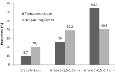 Gambar 2. Prosentase perbandingan ukuran benih kerapu bebek (Cromileptes altivelis )  yang dihasilkan pada pemeliharaan larva dengan pemberian pakan alami  tanpa pengkayaan dan dengan pengkayaan