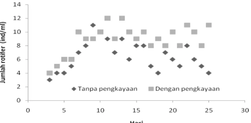 Gambar 4. Kepadatan rotifer pagi hari pada air pemeliharaan larva kerapu bebek  (Cromileptes altivelis) yang  dipelihara dengan menggunakan pakan alami  yang diperkaya dan tanpa pengkayaan