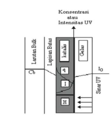 Gambar  6.    Profil  konsentrasi  dan  intensitas  UV  dalam  sistem  immobilisasi  TiO2      dengan  sinar  UV  berasal  dari  bagian  luar  penyangga  (q=kapasitas  adsorpsi, I= intensitas  cahaya, H=ketebalan katalis, I0= intensitas  cahaya  awal,  dan