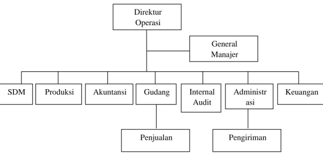 Gambar 2.2 Struktur Organisasi  Direktur  Operasi  SDM  General  Manajer Akuntansi Internal  Audit Gudang  Administrasi  Keuangan  Pengiriman Penjualan Produksi 