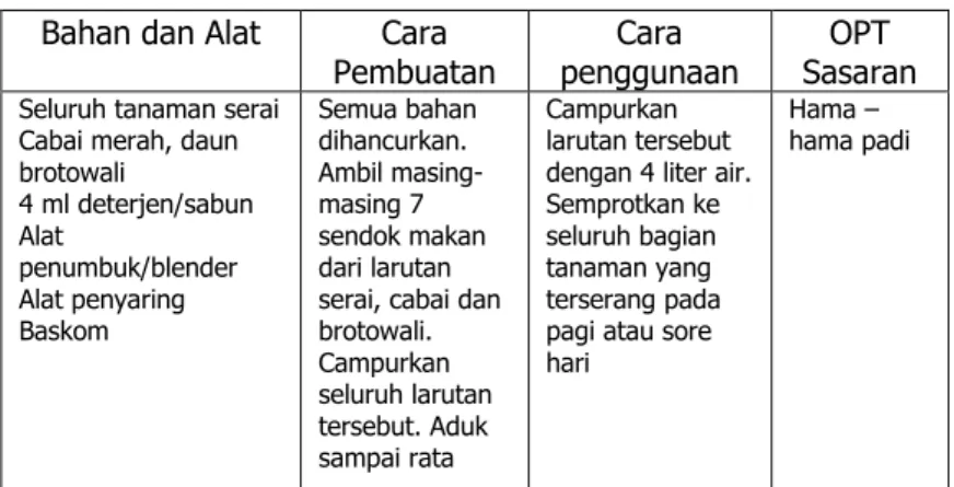 Gambar 14. Serai wangi ( Cymbopogon nardus  (L).) 