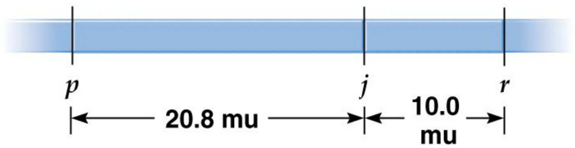 Gambar Peta Kromosom (autosom)