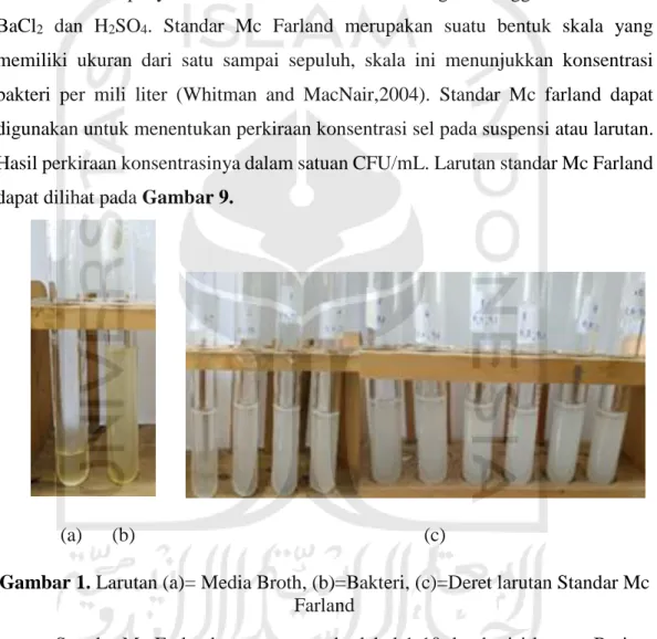 Gambar 1. Larutan (a)= Media Broth, (b)=Bakteri, (c)=Deret larutan Standar Mc  Farland 