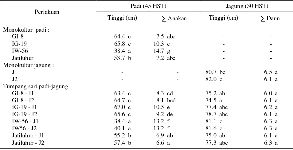 Tabel 1.  Respon pertumbuhan padi-jagung fase vegetatif dalam sistem monokultur dan tumpang sari 