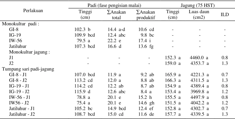Tabel 2.  Respon pertumbuhan padi-jagung fase reproduktif dalam sistem tumpang sari 