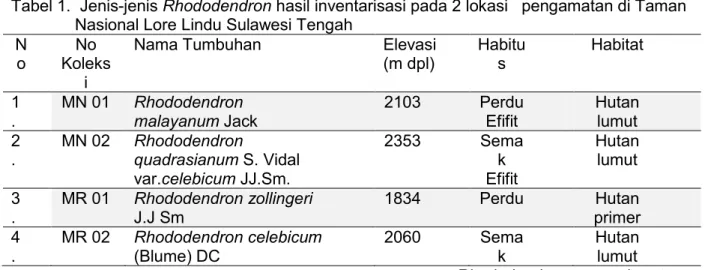 Tabel 1.  Jenis-jenis Rhododendron hasil inventarisasi pada 2 lokasi   pengamatan di Taman  Nasional Lore Lindu Sulawesi Tengah 