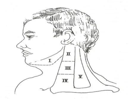 Gambar 3 Daerah penyebaran  kelenjar limfe leher