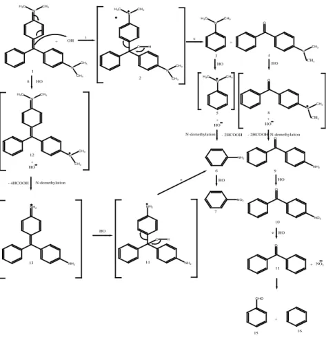 Gambar 2. Jalur reaksi degradasi malachite green (Berberidou et  al., 2007)