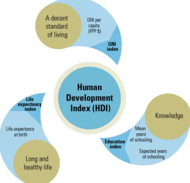 Gambar 10. Human Development Index (Sumber: http://hdr.undp.org) 