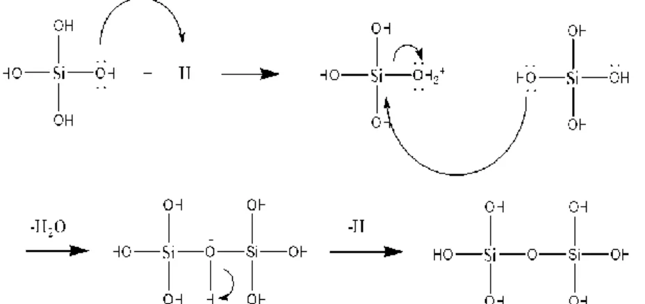 Gambar 1. Pembentukan silika gel [12] 