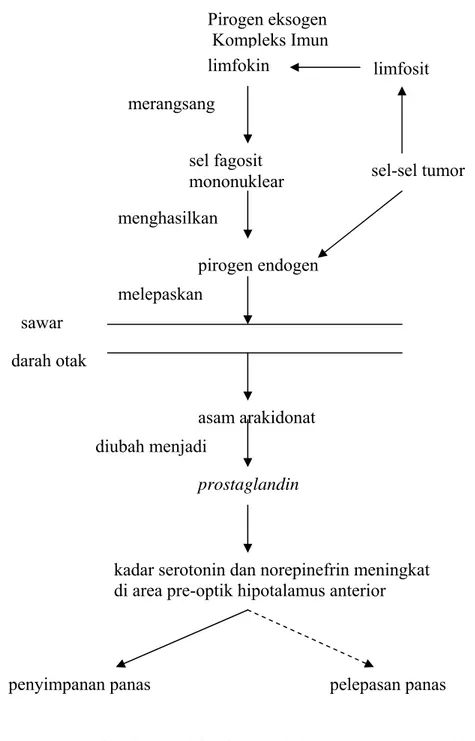 Gambar 1. Mekanisme terjadinya demam  (Wash, 1997). 