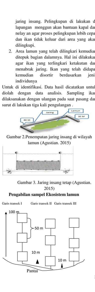 Gambar 2.Penempatan jaring insang di wilayah  lamun (Agustian. 2015) 