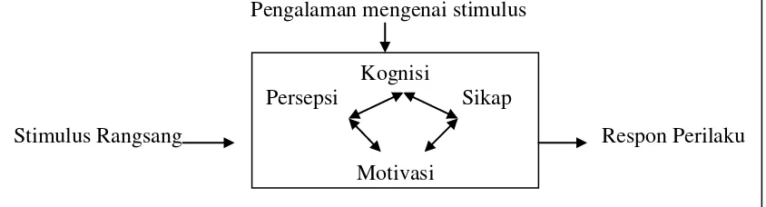 Gambar 1 Model pembentukan citra  