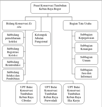 Gambar 4 Struktur organisasi Kebun Raya Bogor 