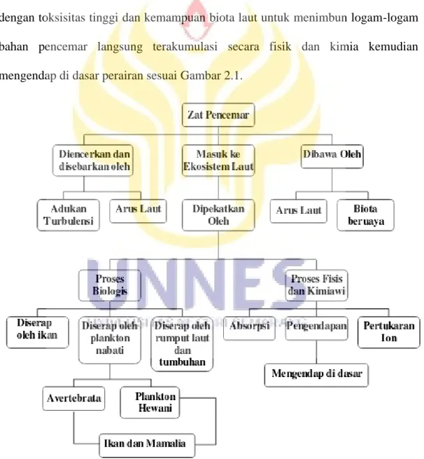 Gambar 2.1. Proses yang terjadi bila logam berat masuk ke lingkungan  laut (Bangun, 2005)