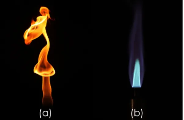 Gambar 3. Nyala api difusi dan premix [21] 