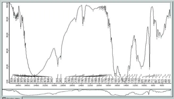 Gambar 1. Spektrum FT-IR Khitosan hasil deasetilasi khitin dari limbah udang (kode 69 VII 09) 