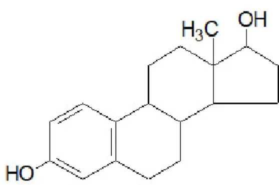 Gambar 3 Struktur estrogen (Guyton &amp; Hall 1997) 