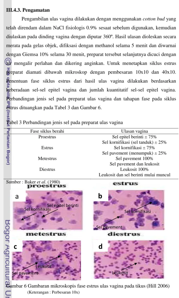 Tabel 3 Perbandingan jenis sel pada preparat ulas vagina 