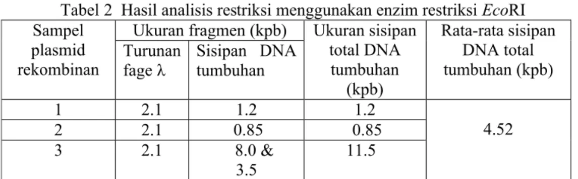 Tabel 2  Hasil analisis restriksi menggunakan enzim restriksi EcoRI Sampel 