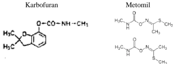 Gambar 1. Struktur Kimia Karbofuran dan Metomil (Ames et al, 1989)  