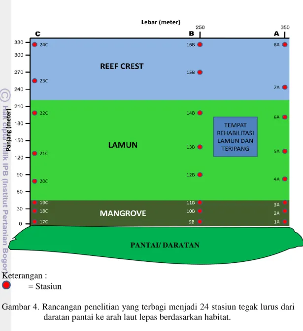 Gambar 4. Rancangan penelitian yang terbagi menjadi 24 stasiun tegak lurus dari  daratan pantai ke arah laut lepas berdasarkan habitat