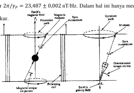 Gambar 10. Analogi Proton Precession Spining-Top (Telford, 1990) 