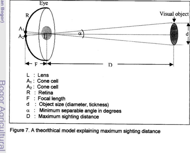 Figure  7.  A theorithical model explaining maximum sighting distance 
