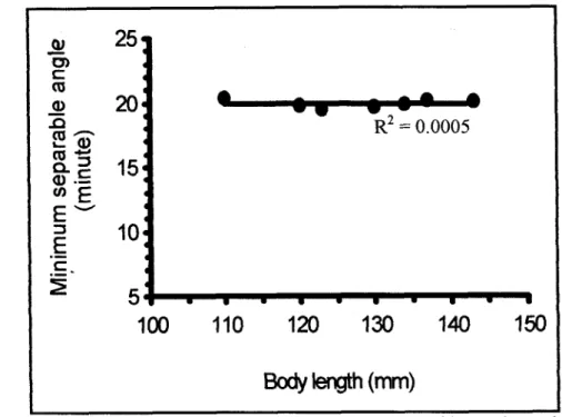 Figure 22. Relationship between visual acuity and body length of  Anodontostoma chacunda 