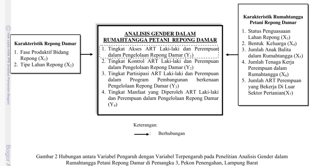 Gambar 2 Hubungan antara Variabel Pengaruh dengan Variabel Terpengaruh pada Penelitian Analisis Gender dalam  Rumahtangga Petani Repong Damar di Pemangku 3, Pekon Penengahan, Lampung Barat 